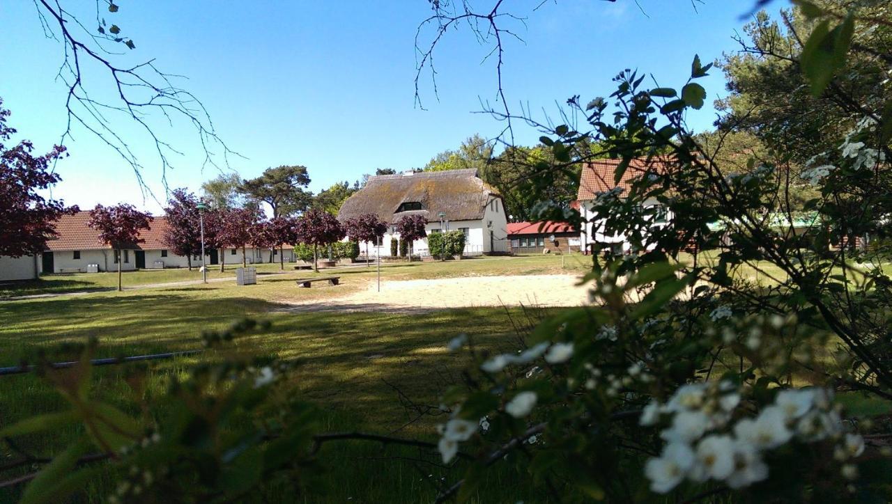 Jugendtours-Feriendorf Ummanz Exterior photo